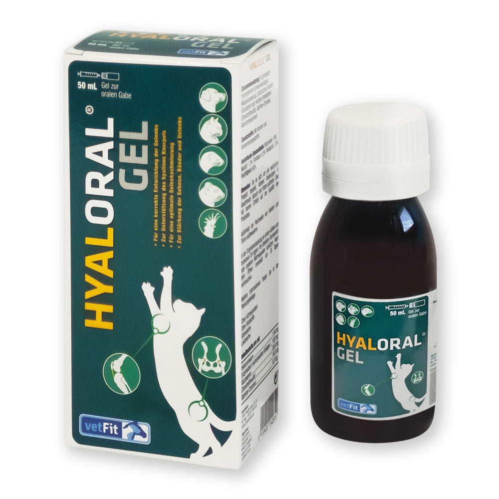 hyalORAL® Gel