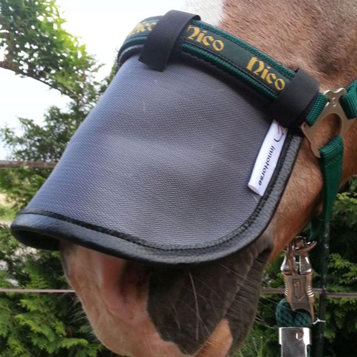 Sonnenschutz Pferd NOSE SCREEN – kurzer Nüsternschutz mit 77 % UV-Schutz - Größe M