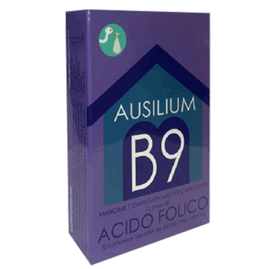 Ausilium B9